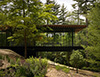 glass/wood house