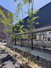岩塚の家 | 愛知県豊橋市の設計事務所+... https://kkden.com/wp-content/uploads/2025/05/135002.jpg