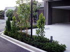 株式会社　田中造園土木　　ビル・マンショ... IMGP3296.jpg