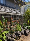 伸び放題のお庭をすっきりと。　　広島市安... https://www.modern-h.jp/wp-content/uploads/PXL_20230428_055254461.jpg