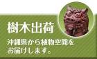 施工事例 | 沖縄の造園なら平成造園｜沖... 樹木出荷の流れ