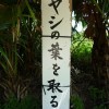 沖縄の珍風景〜ヤシの葉の受難〜看板