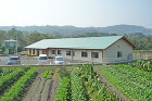 設計事例｜磯貝地域建築設計事務所 https://www.isogai-al.com/wp/wp-content/uploads/2019/08/gh-h.jpg