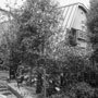 吉本剛建築研究室 / 目神山の家10 目神山の家　10