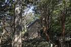 Yakushima Takazuka L... https://shigerubanarchitects.com/wp-content/uploads/2022/10/shigeru-ban-yakushima-lodge1.jpg