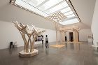 “Architecture and Hu...