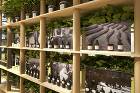 Booth for Davines Gr...