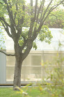 Artek Pavilion - Shi...