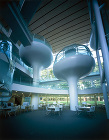 Seikei University Li...