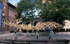 Bamboo Roof - Shiger...