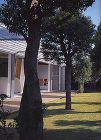 Paper Art Museum B -...