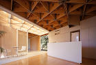 Veneer Grid Roof Hou...