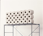 Square core toilet p...