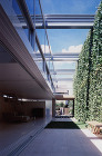 Ivy Structure 1 - Sh...