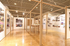 SHIGERU BAN- Paper T... https://shigerubanarchitects.com/wp-content/uploads/2024/01/2.jpg