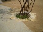 レンガとスルーブロック alt