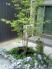 施工実績 - 青山造園　ホームページ http://image.jimcdn.com/app/cms/image/transf/none/path/s37371ae183e00631/image/i031f33145448a7e4/version/1391488659/image.jpg