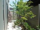 施工実績 - 青山造園　ホームページ http://image.jimcdn.com/app/cms/image/transf/none/path/s37371ae183e00631/image/i147d606e4901660a/version/1391488659/image.jpg