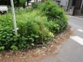 雑木林を囲うメッシュフェンス工事 施工例...