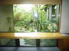 埼玉県さいたま市F邸の庭 ｜ 雑木・苔・... /wp-content/uploads/2013/10/RIMG0034-294x220.jpg