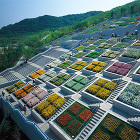 安藤忠雄建築研究所 Tadao Ando... 淡路夢舞台, 兵庫県淡路市, 1993-...