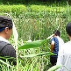 作品 | フィールド建築設計舎ブログ FA-blog/files/IMG_00831-150x150.jpg