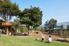 正和幼稚園 - naf architec... /img/works/2006/013/012-seiwa007(w2000).jpg