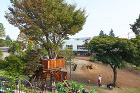 正和幼稚園 - naf architec... /img/works/2006/013/013-seiwa010(w2000).jpg