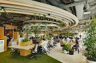 Tokyu Office Renewal