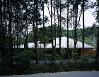 Bamboo / Fiber