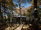Extend to forest | �Daici Ano