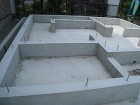 IMG_6081