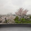 民家再生　市中山居の家　2 - 作品 -... https://www.saimoto.jp/wp-content/uploads/2025/04/IMG_20240408_132306-110x110.jpg
