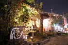 モッコウバラの誘因｜植栽アーチの作り方|... 26388fe64460f9262493...