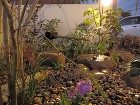 ライトをledに・・。エコな坪庭|ティー... IMG_6572