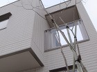 雑木のある暮らし|名古屋 守山区K様邸|... コハウチワカエデ