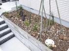 雑木のある暮らし｜名古屋　守山区K様邸|... R0011167