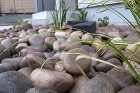 雑木のある暮らし｜名古屋　守山区K様邸|... R0011162