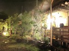 夏の節電｜屋上緑化で夏を涼しく快適な生活... IMG_12441