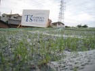 夏の節電｜屋上緑化で夏を涼しく快適な生活... 20090703_68583412