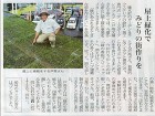 夏の節電｜屋上緑化で夏を涼しく快適な生活... 20090827_89147311