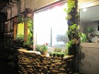 和風庭園を壁に・・。壁面緑化エントランス... IMG_0012