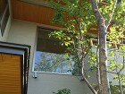 住宅展示場の庭森林セラピー|三和木春日井... アズキナシ