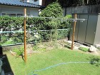 高麗芝のある庭｜排水の悩みを解消！春日井... IMG_18232