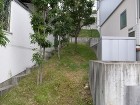 斜面緑化 斜面緑化
