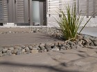 モダンな雑木の庭|木漏れ日を楽しむ外構 ... セキショウ・オオゴン