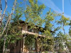 薪ストーブで暖かく杜に暮らす家｜エコ建築... 雑木の庭