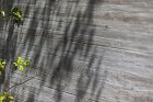緑色のガルバニウムの家｜玄関先に雑木の庭... セラウォール質感
