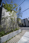 本実型枠の家｜モノトーンの建物にあう雑木... かっこいいブロック花壇