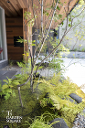 本実型枠の家｜モノトーンの建物にあう雑木... 苔の坪庭